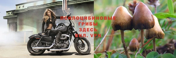 соль курить ск Россошь