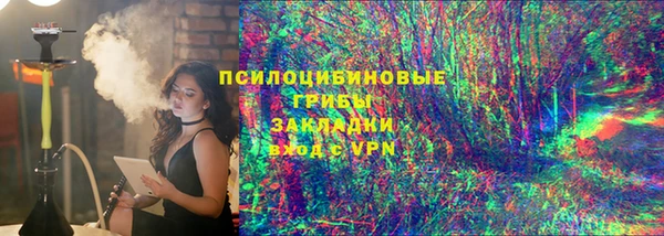 молекула духа Алзамай