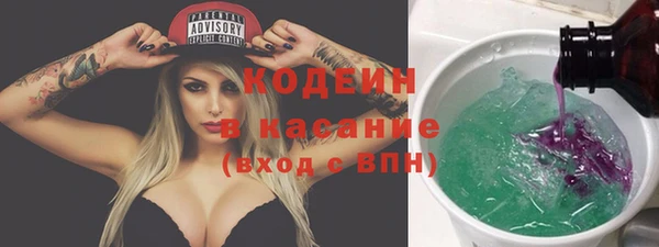 молекула духа Алзамай