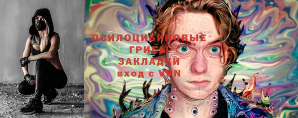 молекула духа Алзамай