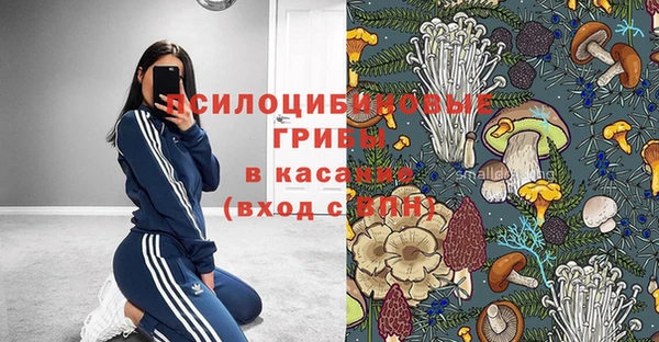 молекула духа Алзамай