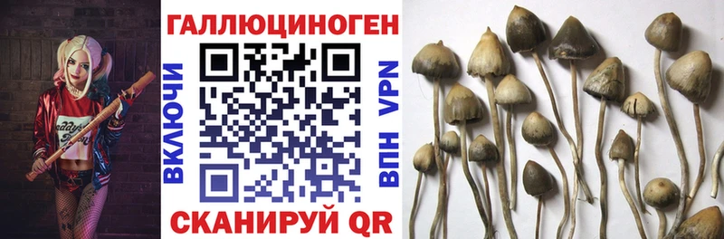 Галлюциногенные грибы Magic Shrooms  дарк нет Telegram  Октябрьск  купить закладку 